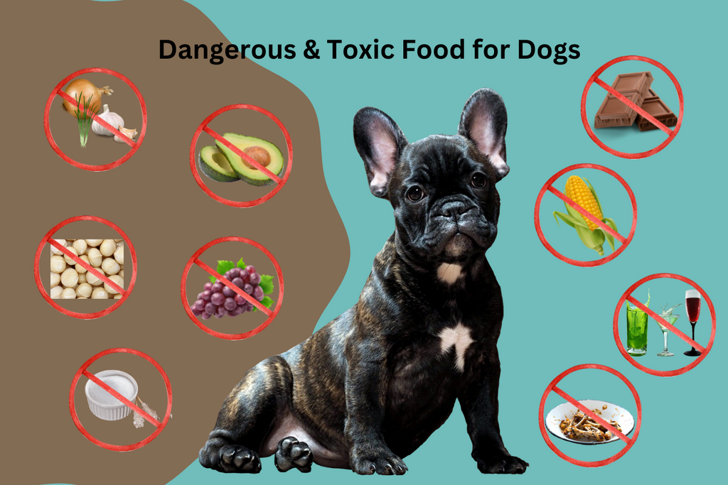 Toxic & Dangerous Foods for Dogs